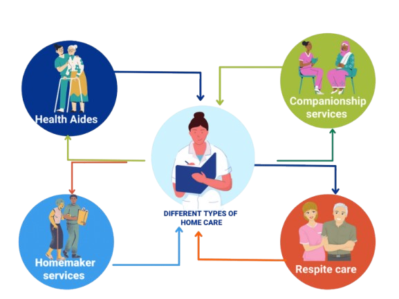 In-Home Care Services Designed Around Your Needs